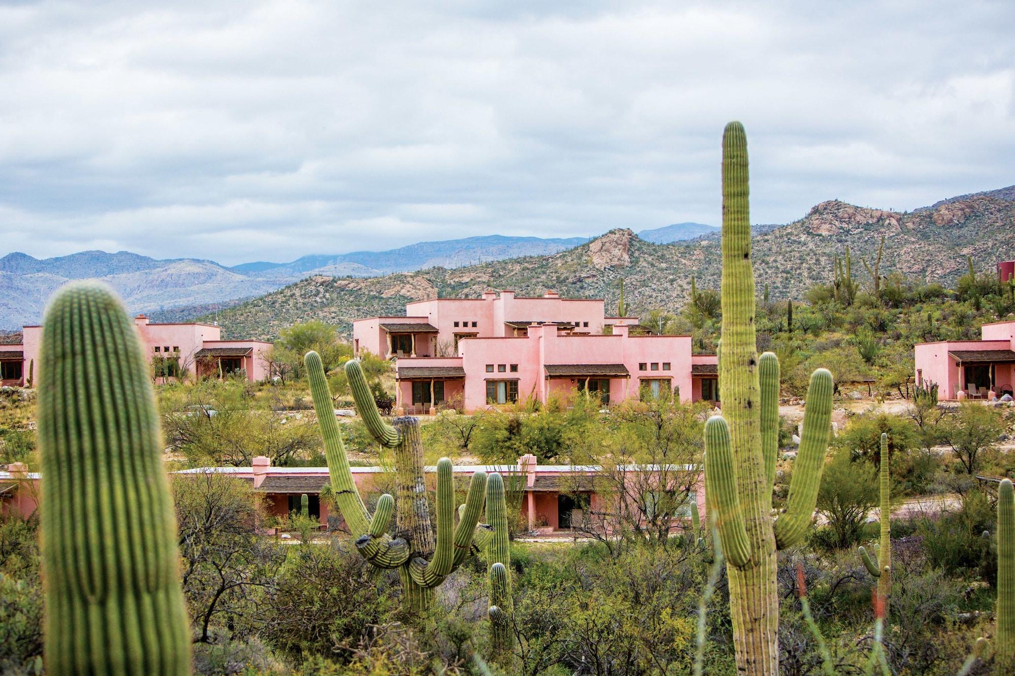 Tanque Verde Guest Ranch Tucson Exteriér fotografie