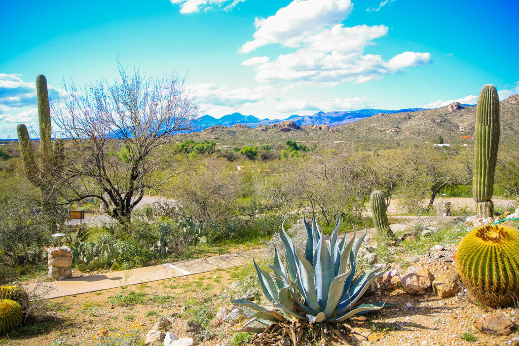 Tanque Verde Guest Ranch Tucson Exteriér fotografie